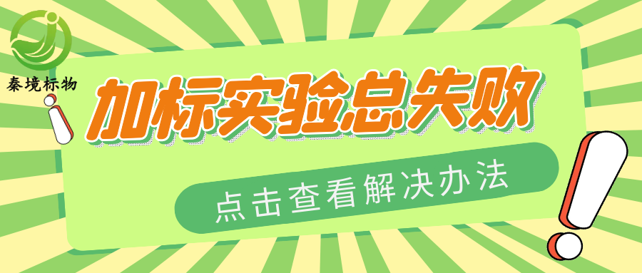 秦境知识丨加标实验总失败？这些关键环节别踩坑！